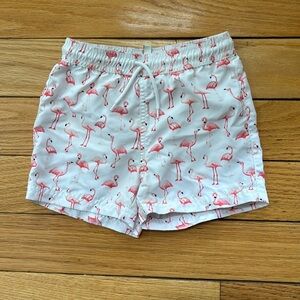 Janie and Jack Flamingo Swim Trunks 18-24m